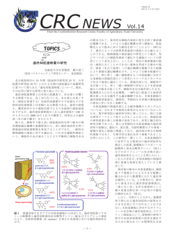 CRC NEWS Vol. 14