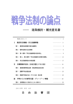 逐条検討・補充意見書