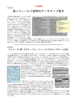 長いフィールド説明のデータチップ表示