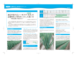 適応作型の広い一本ネギ「吉宗」の 品種特性と特性を