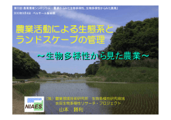 PDFファイル 2.4MB
