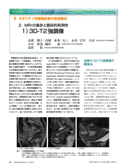 1）3D-T2強調像