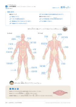 筋肉-p1/7
