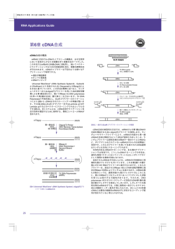 第6章 cDNA合成