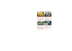 ビクトリアを満喫するプログラムを多数ご用意