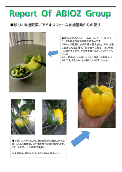 珍しい有機野菜／アビオスファーム有機圃場からの便り