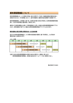 燃料費調整額について