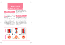 4.動脈の筋肉が足もみのキーポイント