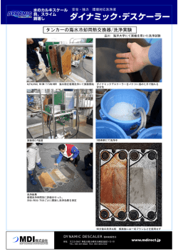 Dynamic Descaler 資料一式