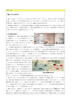 『鯨とともに生きる』のストーリー概要