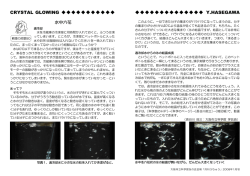 水中六花 - 大阪市立科学館