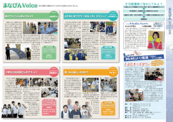 石のアイデア