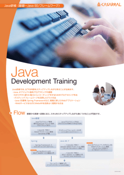 Development Training