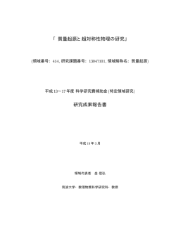 2007年 3月 研究成果報告書(pdf形式)