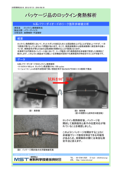 この分析事例のPDFファイルを開く