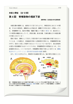 第 4 回 脊椎動物の視床下部 - 東海大学出版部 TOKAI UNIVERSITY