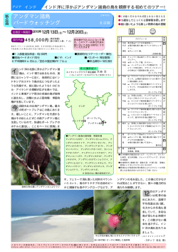 イ 今 12 - ネイチャリングニュース