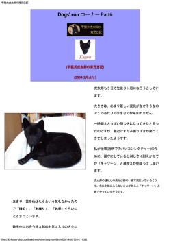 2004 年2月の日記 - Coatl Head