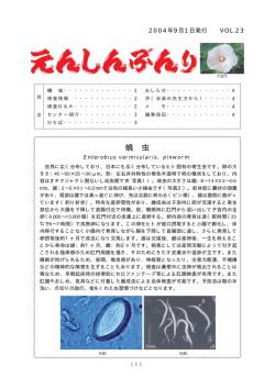 23 2004年9月 PDFﾌｧｲﾙ