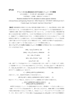 アミンへの CO2 吸収反応に対する反応シミュレータの開発 Reaction