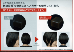 新規染料※を使 目一したヘアカラーを使 一しています。