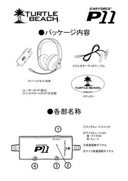P11簡易取扱書