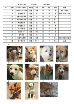 1 2 3 4 5 6 7 8 9 10 11 雄 中 無し 負傷 11 猫 取手市井野 雑種 茶トラ