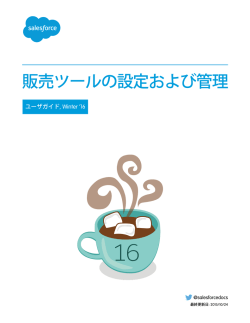 販売ツールの設定および管理 - Salesforce.com