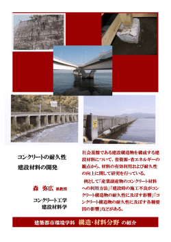コンクリートの耐久性 建設材料の開発 森 弥広