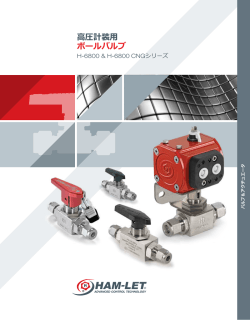 H6800 高性能ボールバルブ