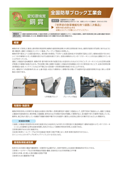 銅 賞 - 愛知環境賞