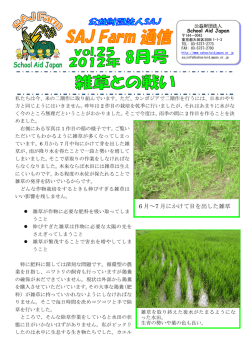 雑草との戦い(PDFファイルでご覧になれます