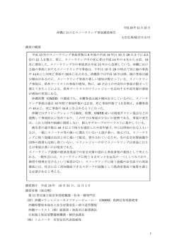 沖縄におけるスノーケリング事故調査報告