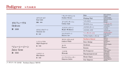 5代血統表（PDF）