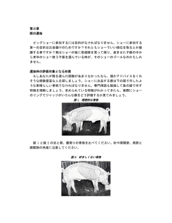 Document converted with www.koolwire.com