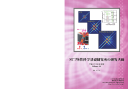 p-In0.96Mn0.04As のスピン偏極度評価