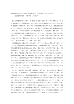 神経細胞がキズつく仕組み 活性酸素はどんな悪さをし