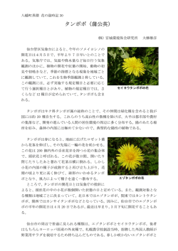 タンポポ（蒲公英） - 宮城環境保全研究所