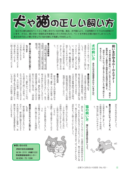 犬や猫の正しい飼い方