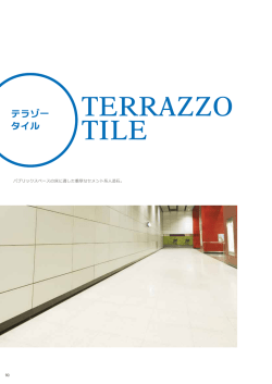 Page 1 TERRAZZO TILE パブリックスペースの床に適した重厚な