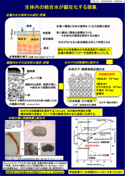 結合水は物質の特性にどのような影響を与えているのか？