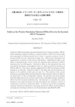 小腸 ABCA1 トランスポーターを介したコレステロール排出を 活性化する