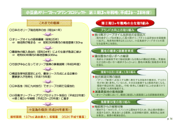 小豆島オリーブトップワンプロジェクト 第Ⅱ期3ヶ年戦略（平成26～28年度）