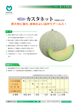 カスタネット（MMX-314）