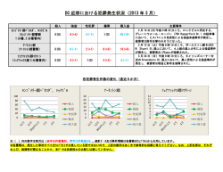 DC 近郊における犯罪発生状況（2013 年 3 月）