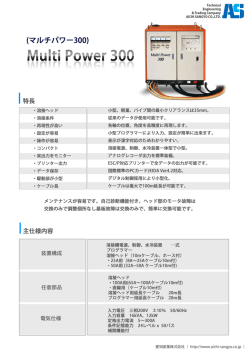 マルチパワー300