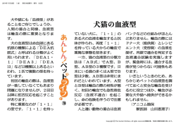 犬猫の血液型 2014年11月28日掲載分