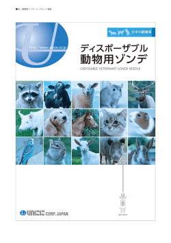 動物用ゾンデ