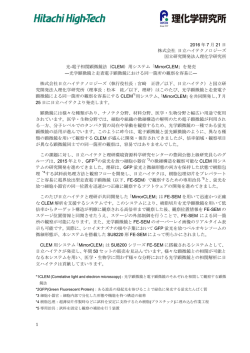 印刷用(PDF形式、265kバイト)