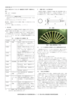 齋藤 悟 - 電気通信大学